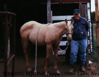 MISSING EQUINE Peppy Olena Lady, Near Tulsa, OK, 74130